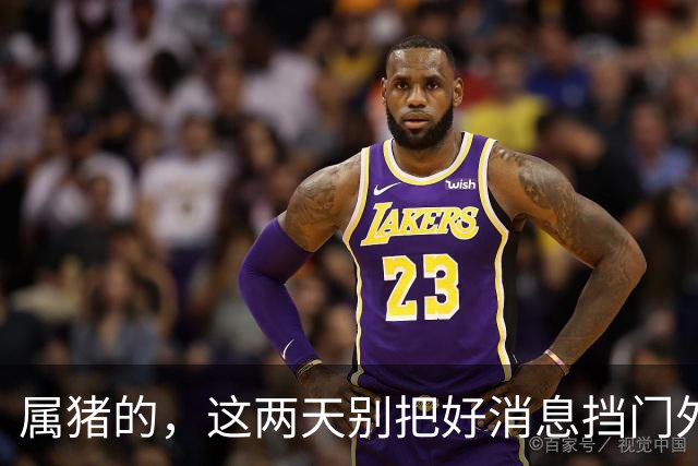 属猪的，这两天别把好消息挡门外